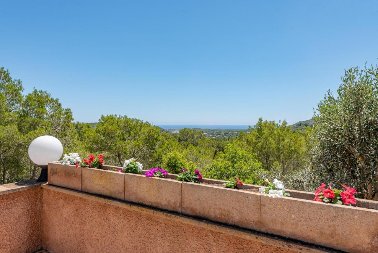 Finca Bosc De Can Alou By Mallorca House Rent فيلانيتكس المظهر الخارجي الصورة